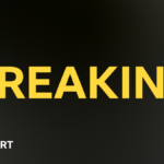 Zinedine Zidane: Former Real Madrid manager appointed as France head coach