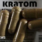 What is kratom, the 'gas station heroin' alarming officials in the US